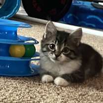 Thumbnail photo of Jonas #1