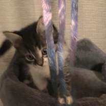 Thumbnail photo of Jonas #2