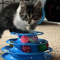 Thumbnail photo of Jonas #3