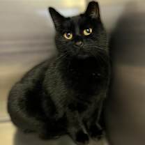 Thumbnail photo of Soul  #1