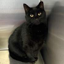 Thumbnail photo of Soul  #2