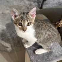 Thumbnail photo of Toby #4