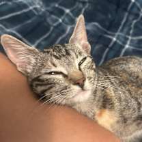 Thumbnail photo of Mia #1