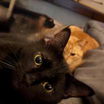 Thumbnail photo of Amberly #1