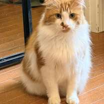 Thumbnail photo of Sailor #2