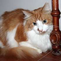 Thumbnail photo of Sailor #4