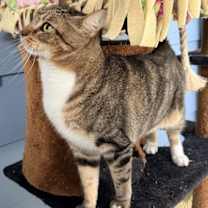 Thumbnail photo of Laverne #4