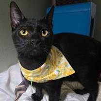 Thumbnail photo of Walter #1