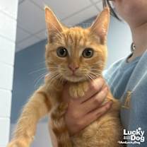 Thumbnail photo of Tim #3