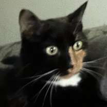 Thumbnail photo of Hermoine #1