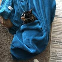 Thumbnail photo of Hermoine #3