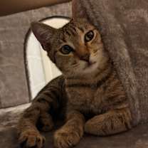 Thumbnail photo of Holly #2