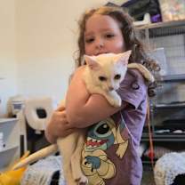 Thumbnail photo of Cream Cheese #3