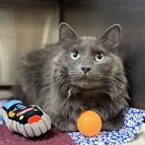 Thumbnail photo of Griselda #3