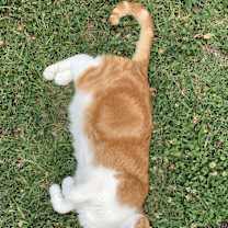 Thumbnail photo of Nasa #1