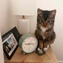 Thumbnail photo of Aria #3