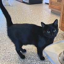 Thumbnail photo of Mystic #1