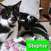 Thumbnail photo of Stephie #2