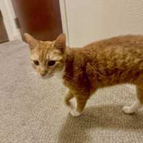 Thumbnail photo of Charlie XVII (New Digs) #2