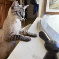 Thumbnail photo of Winter “Lovey” #2