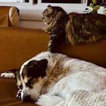 Thumbnail photo of Honey #2