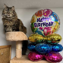 Thumbnail photo of Honey #4