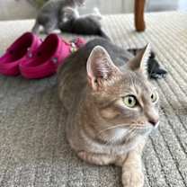 Thumbnail photo of Pearl #2