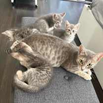 Thumbnail photo of Pearl #3