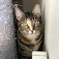 Thumbnail photo of Tia #1