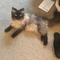 Thumbnail photo of Jupiter #1