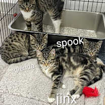 Thumbnail photo of Glen #3