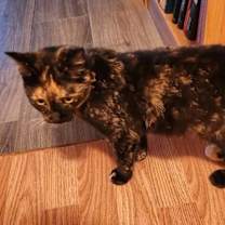 Thumbnail photo of Milly #3