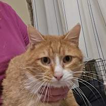 Thumbnail photo of James P. Sullivan #2