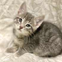 Thumbnail photo of Angela #2