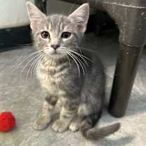 Thumbnail photo of Cole Slaw #2