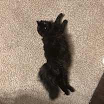 Thumbnail photo of Magic and Mystery #3