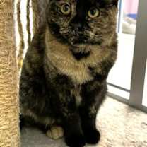 Thumbnail photo of Ronda #3