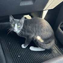 Thumbnail photo of Caden #4