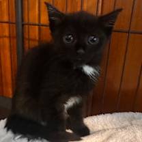 Thumbnail photo of Sideways #3