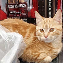 Thumbnail photo of Mikey #2