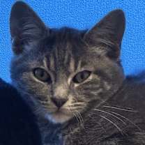 Thumbnail photo of Max #1