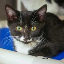 Thumbnail photo of Jessica #1