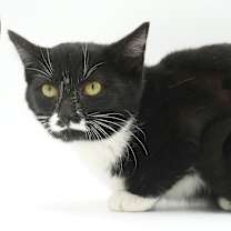 Thumbnail photo of Jessica #2