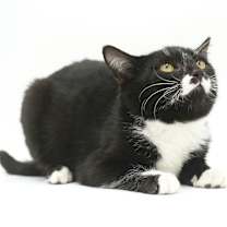 Thumbnail photo of Jessica #3