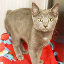 Thumbnail photo of Jessie #3