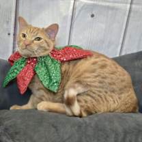 Thumbnail photo of Lucille #3