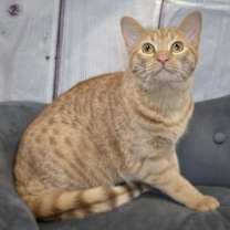 Thumbnail photo of Lucille #4