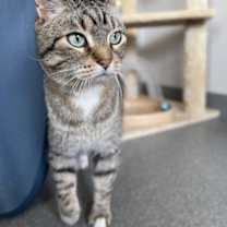 Thumbnail photo of Charlie #1