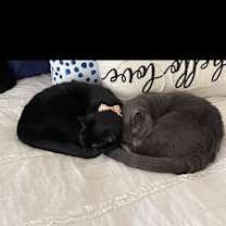 Thumbnail photo of Randy and Hank #3