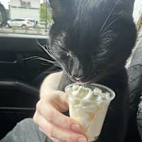 Thumbnail photo of Bear #4